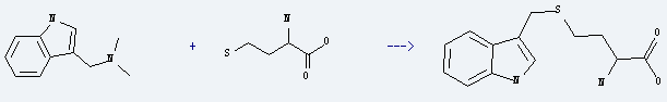 Homocysteine is used to produce S-(3-indolylmethyl)-homocysteine by reaction with indol-3-ylmethyl-dimethyl-amine.